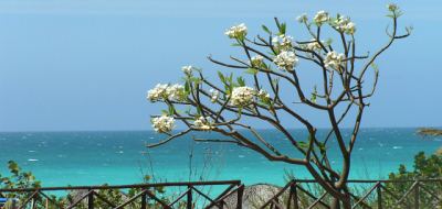 Varadero, Cuba