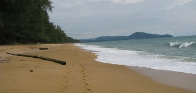 Special offers to Phuket