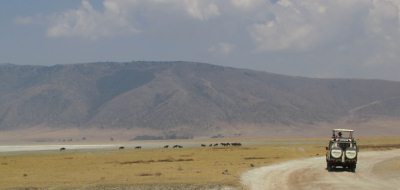 On safari in Tanzania