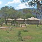 Safaris to the Ashnil Samburu Camp Samburu National Park Kenya