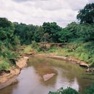 The Mara River at Governors Main Camp, Masai Mara Kenya