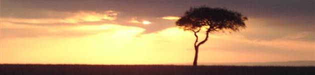 Customer feedback from Africa and the Indian Ocean - Sunset on the Masai Mara (photo by Dave Parry)