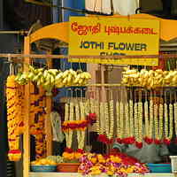 Flower sellers