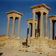 Palmyra