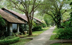 Holidays to the Palm Garden Village, Anuradhapura, Sri Lanka