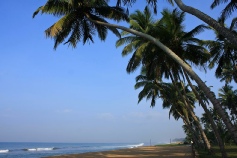 Holidays to The Blue Water Sri Lanka