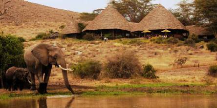 Holiday to the Tortilis Camp, Amboseli National Park Kenya