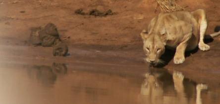 Holiday to Tsavo National Park, Kenya