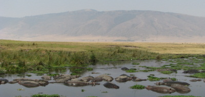 Safari holiday in Tanzania - 7 night Elewana Road safari