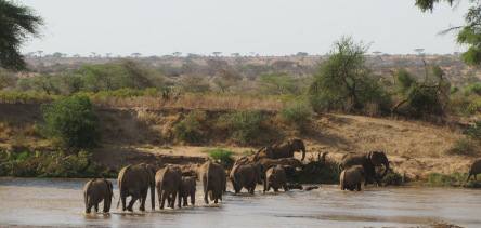 Holiday to Samburu, Shaba and Meru, Kenya