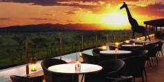 Holiday to the Ole Sereni Hotel Nairobi