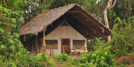 Holiday to the Selous Kulinda Camp, Selous Tanzania