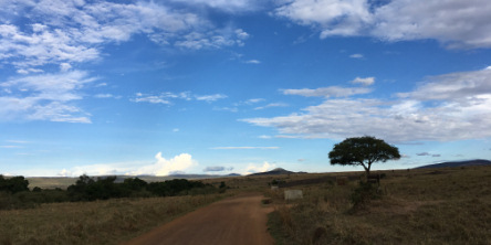 Safari holidays in Kenya