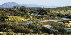 Holiday to The Sarova Shaba Camp, Shaba Kenya